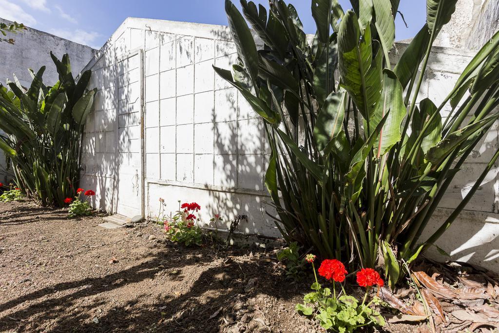 Family House Garden Villa Ponta Delgada  Phòng bức ảnh